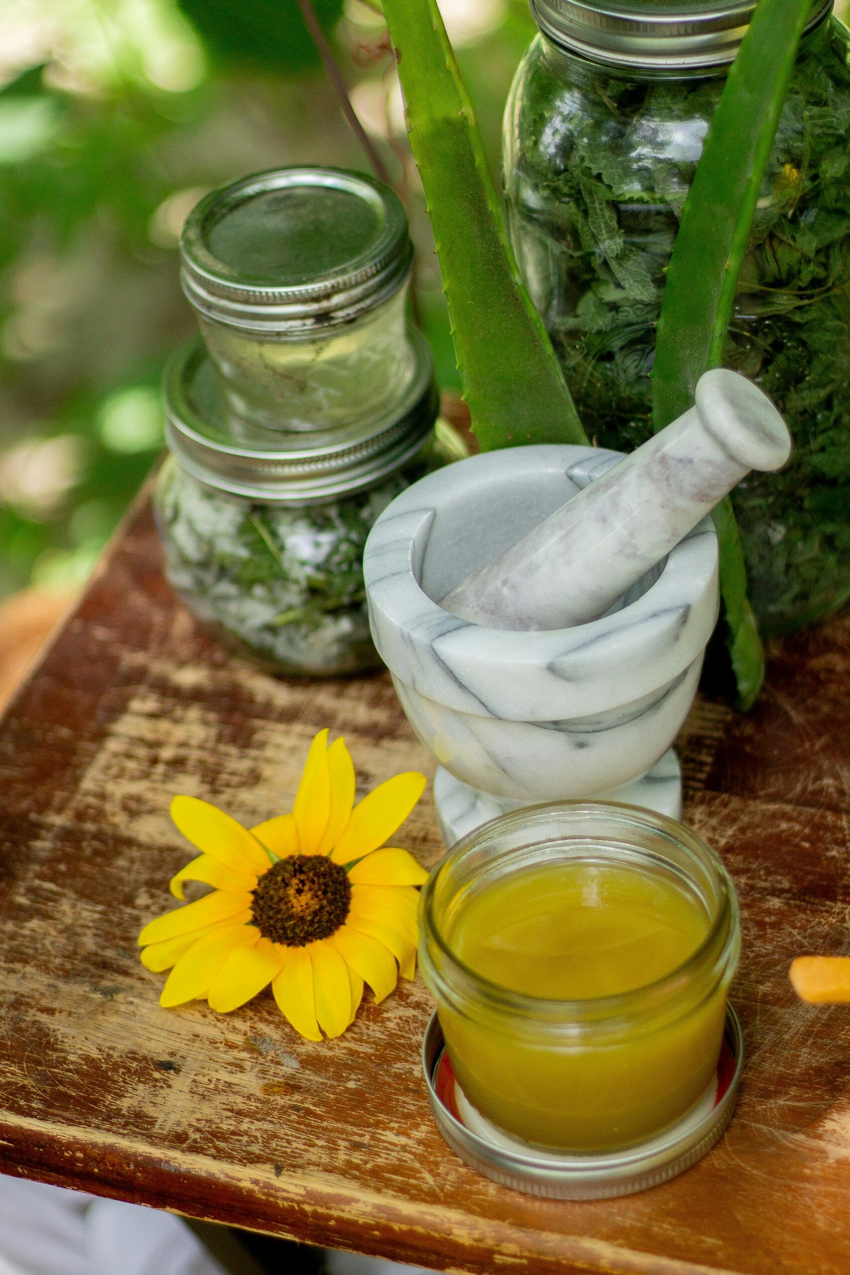 Natural healing setup featuring herbs, aloe, and a mortar and pestle.
